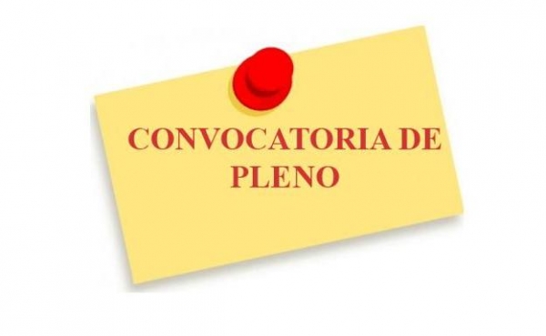 Pleno Ordinario